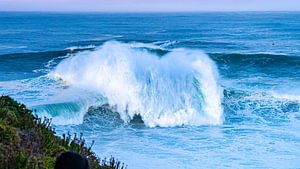 Grandes vagues à Nazaré (Portugal)