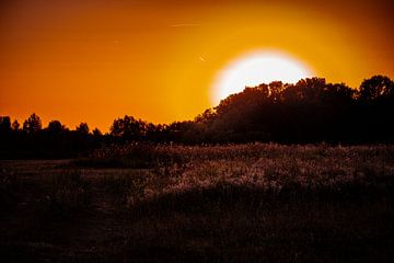 Zonsondergang in de Zuid-Limburgse velden van Timo Videc