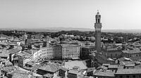 Blick über Siena