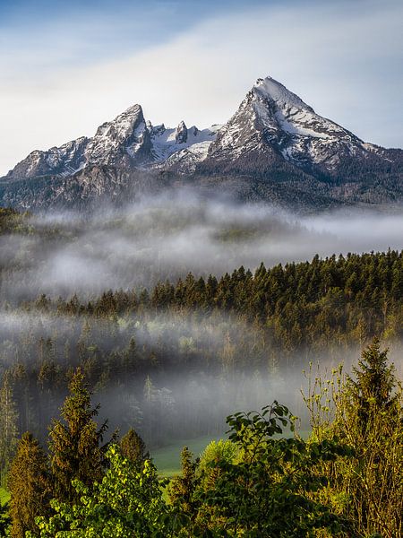 Der König und seine Familie von Thomas Weber