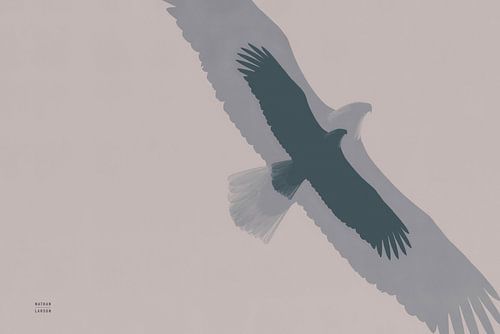 Double Eagle Flight, Nathan Larson