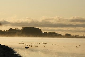 Vroege ochtend op Rügen van Nella van Zalk