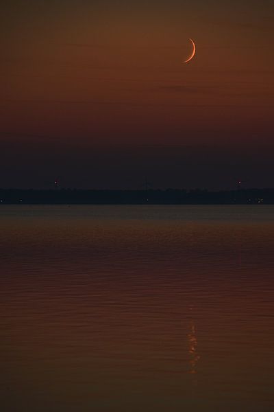 Rise of the Moon par Nienke Bot