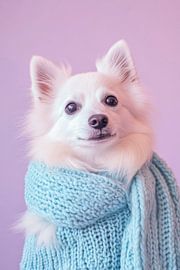 Amerikanischer Eskimohund von Poster Art Shop