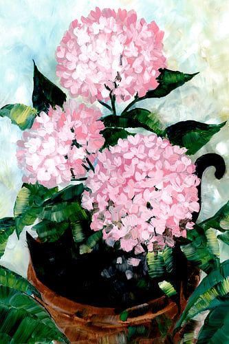 Roze hortensia's in pot
