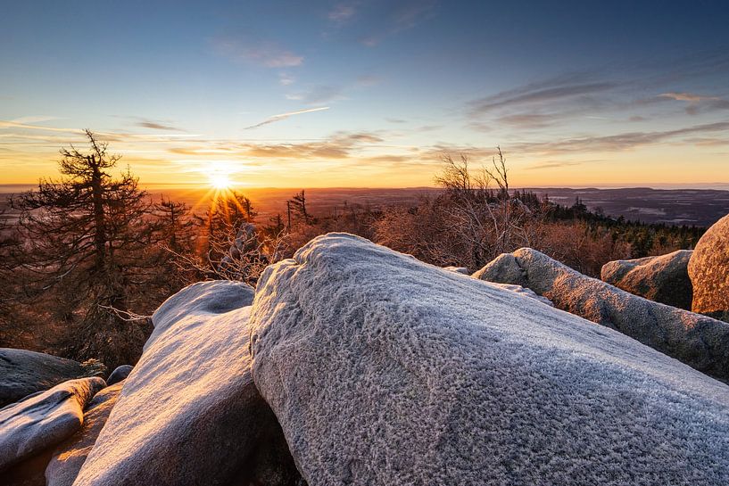 Vorst in de Oberharz van Steffen Henze
