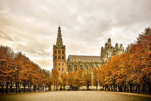Sint-Janskathedraal en de Parade in 's-Hertogenbosch (warme gloed)