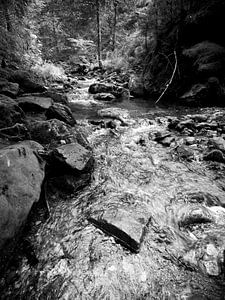 Der Riesbach im Riesloch bei Bodenmais 5