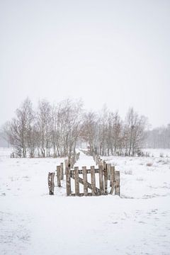 Besneeuwd pad met poortje van Bas Leroy