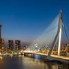 Coucher de soleil sur le pont Erasmus sur Frank Laurens