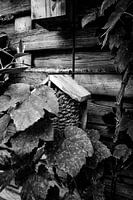 Maison d'oiseaux dans le jardin monochrome
