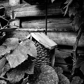 Birdhouse in the monochrome garden by Faucon Alexis