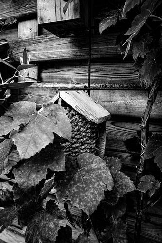 Vogel huisje in de tuin monochroom