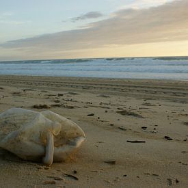 Jerrycan am Strand von Minca de Jong