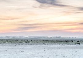 Noordsvaarder sur Wad of Wonders