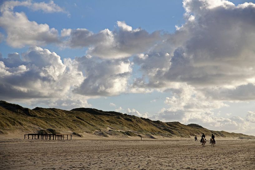 Strand in Noord-Holland van Cora Unk