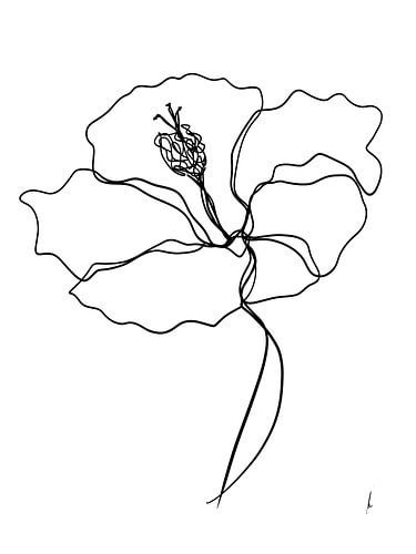 Hibiscus one-line drawing digital