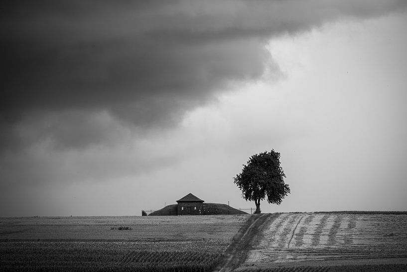 waiting for the storm by Hetwie van der Putten