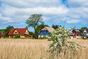 Häuser auf dem Fischland-Darß in Wiek