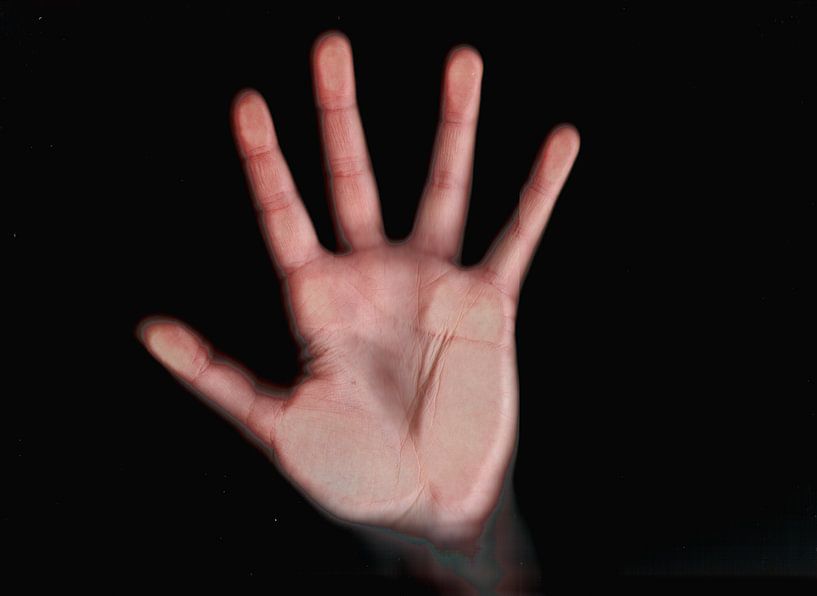 hand scanner von stefanie hoefer