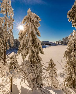 Winter aan de Mummelsee in het Zwarte Woud van Werner Dieterich