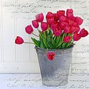 Tulpen in een zinken emmer van christine b-b müller thumbnail