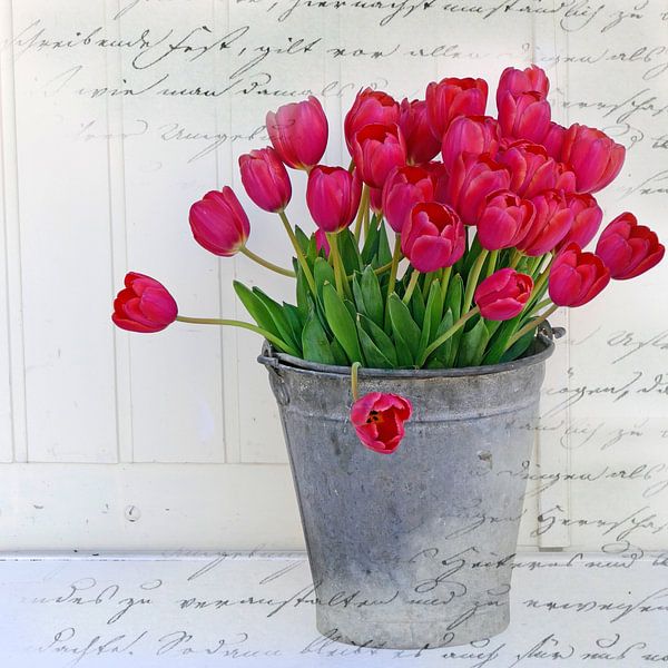 Tulpen in een zinken emmer van christine b-b müller