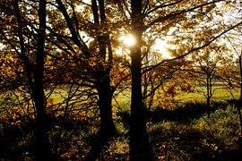 Spreewald sur Thomas Jäger