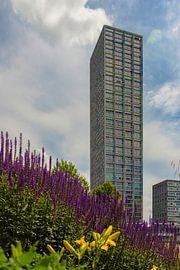 Westpoint Tower Tilburg