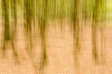 Impressionismus im Wald von Hans Debruyne