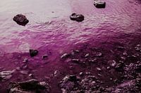 Pink salty lake