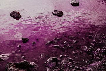 Pink salty lake van Shelena van de Voorde