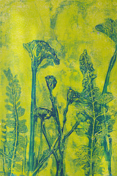 Summer pasture