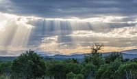 zonnestralen  by Bert Hunink thumbnail