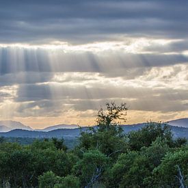 zonnestralen  sur Bert Hunink