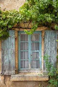 Gelochte Fenster und Weinreben eines alten Hauses in Morvan, Frankreich von Jan Fritz