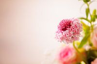 Bloemen