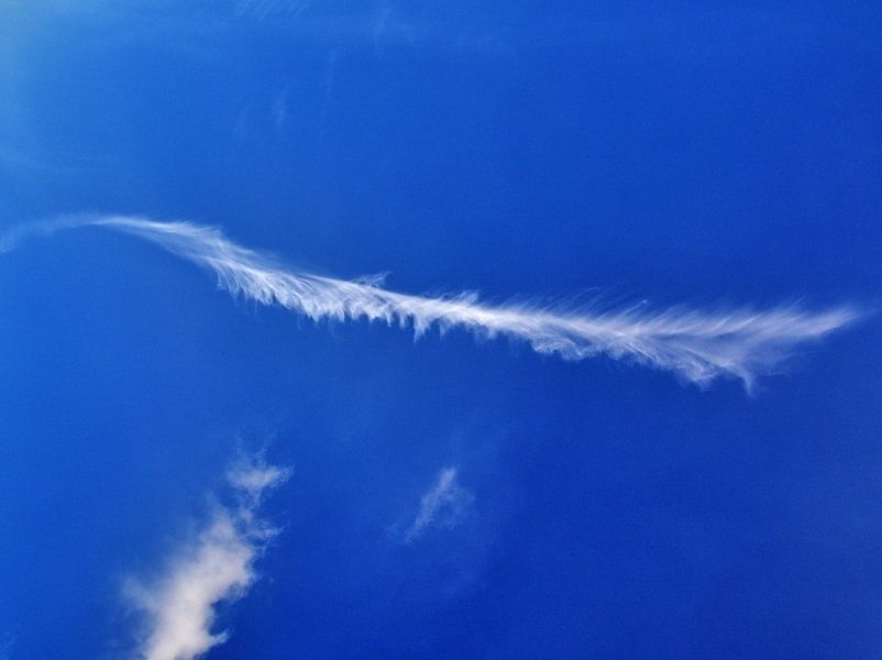 Nuage de plumes par Edgar Schermaul