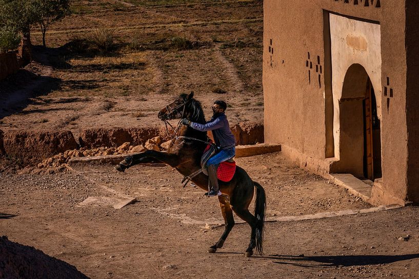 a prancing horse by Rene Siebring