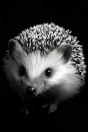 Igel von Poster Art Shop