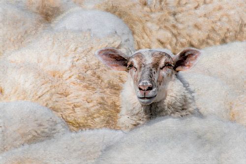 The Wool Factory 7