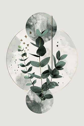 Eucalyptus & Geometrie: Organische symmetrie