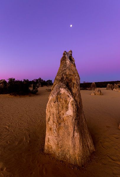 Het beroemde pinnacles desert national park bij zonsondergang net buiten Perth in Australie van Guido Boogert