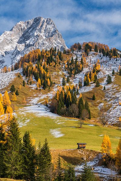 Berglandschap "Tussen Herfst en Winter" van Coen Weesjes