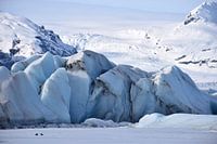 Two ravens in front of a glacier