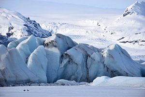 Twee raven voor een gletsjer van Elisa in Iceland