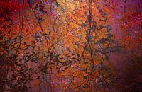 curtain of leaves