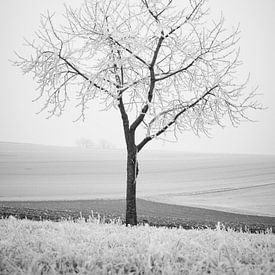 La récolte d'hiver sur Keith Wilson Photography