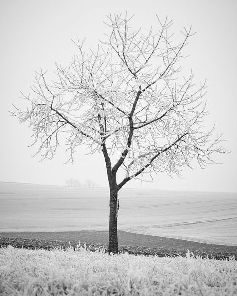 Die Winterernte von Keith Wilson Photography