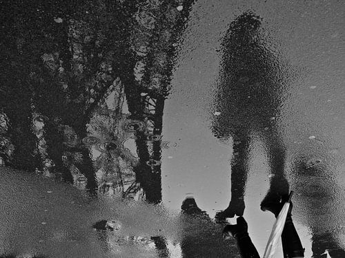 Reflectie in de regen